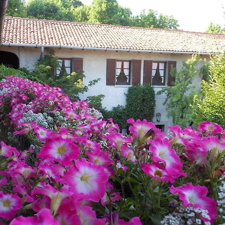 Agriturismo Cassinazza Orsenigo Exteriér fotografie