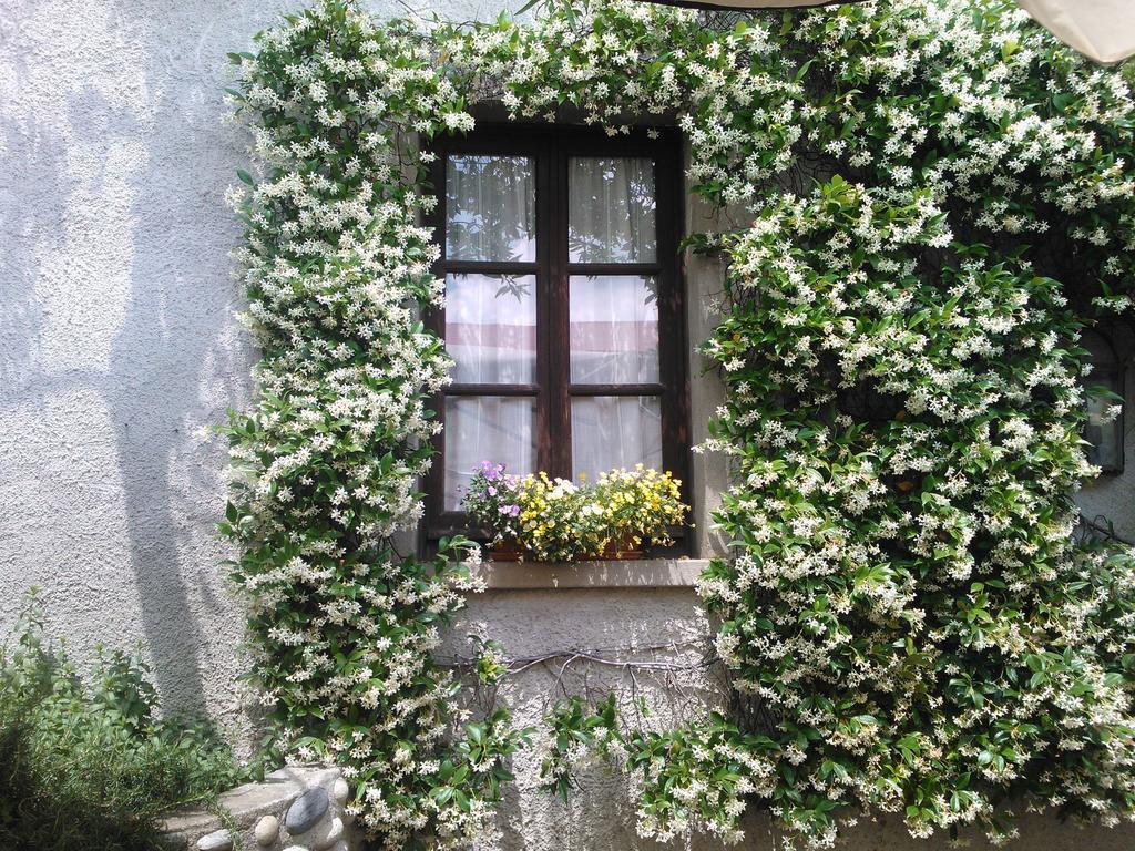 Agriturismo Cassinazza Orsenigo Pokoj fotografie