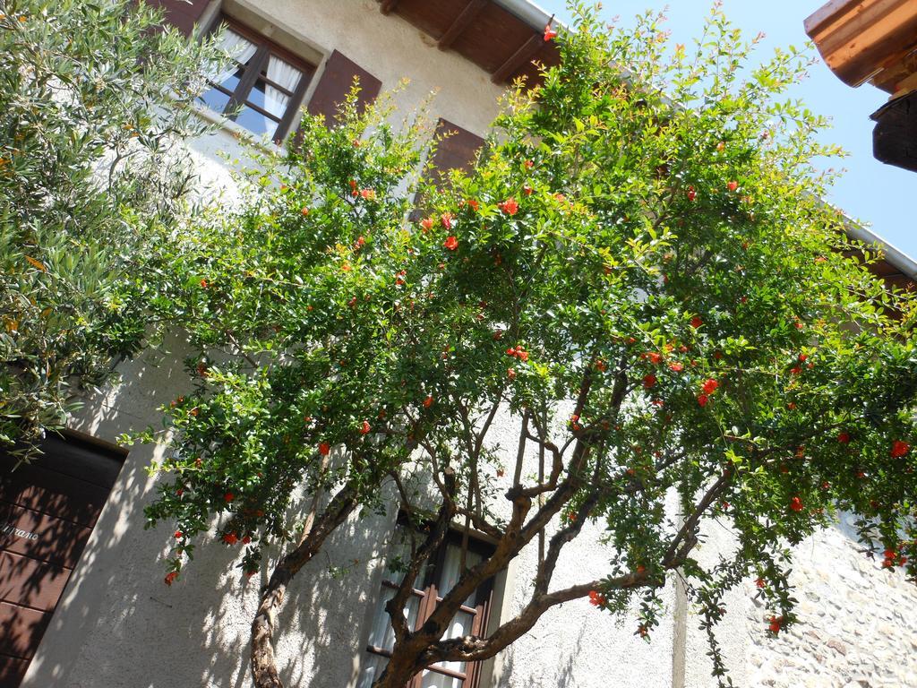Agriturismo Cassinazza Orsenigo Exteriér fotografie